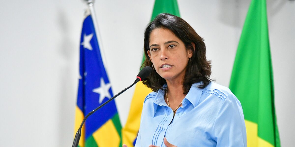 Audiência Pública Debate Transporte Coletivo no Entorno