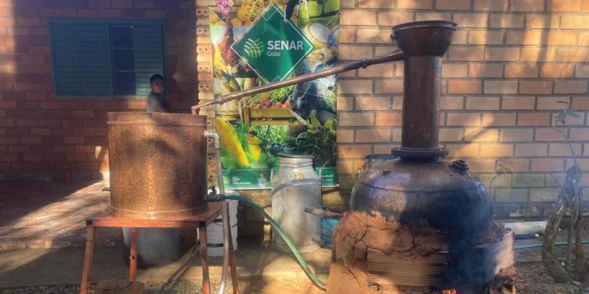 Cachaça artesanal: tradição e oportunidade no Entorno