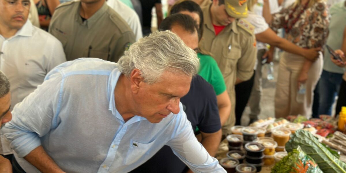 Feira #NoEntornoTem leva o melhor de Goiás para Brasília nos dias 18 e 19 de outubro