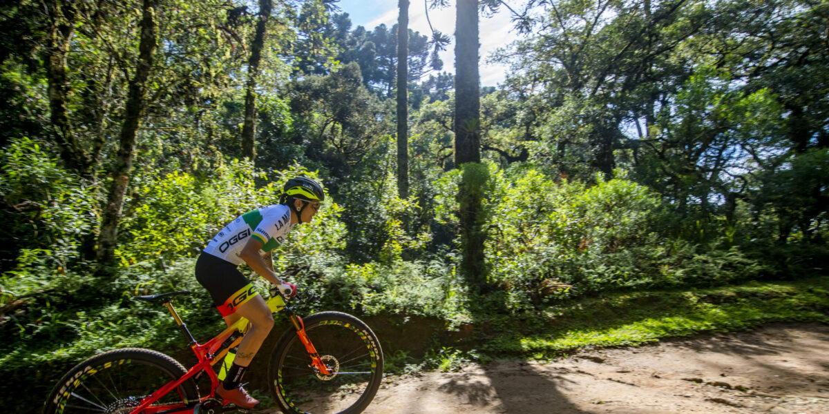 Governo de Goiás paga as três primeiras das 12 parcelas do Pró-Atleta 2021, que terá investimento de R$ 3 milhões