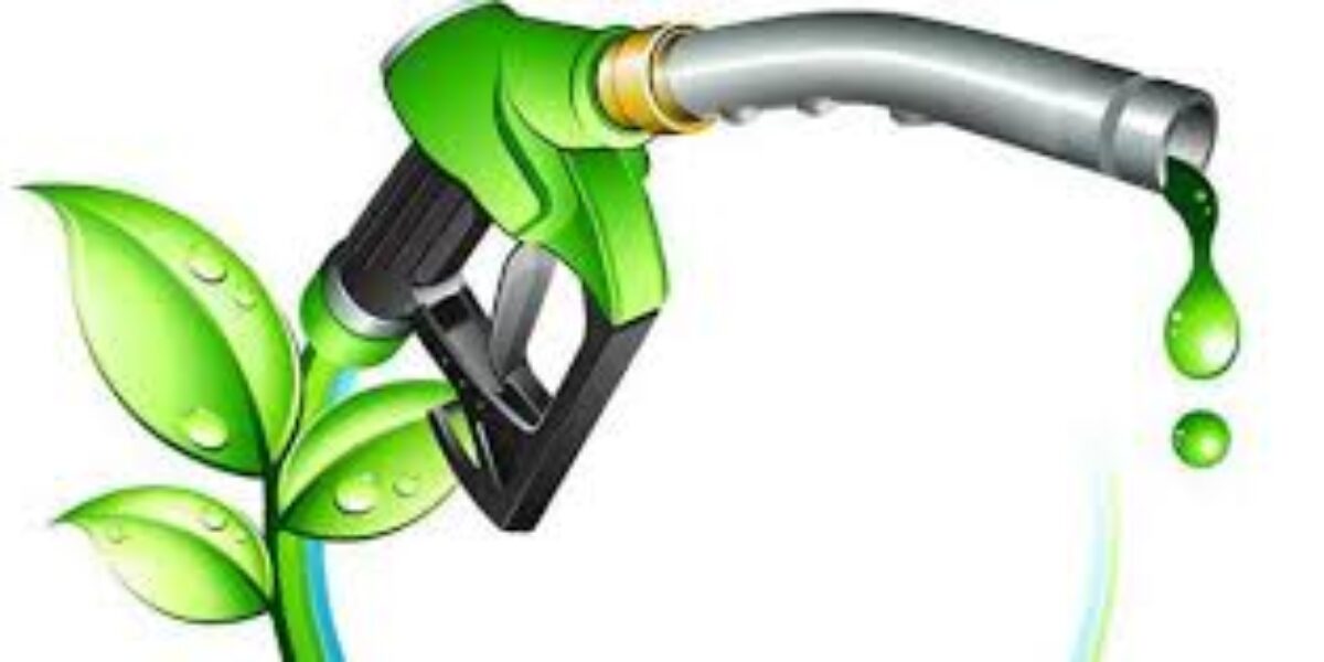 Confap articula chamada sobre biocombustiveis com a União Europeia