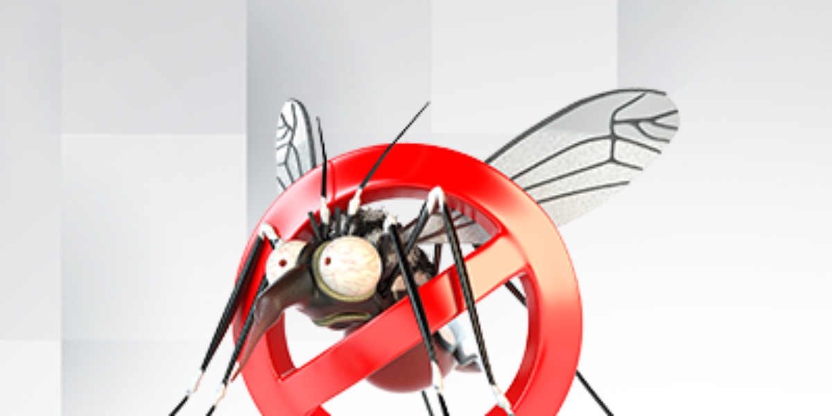 Governo federal mobiliza 220 mil militares para orientar a população contra o Aedes aegypti