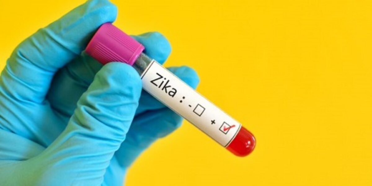 Finep vai investir R$ 230 milhões contra o Zika em 2016