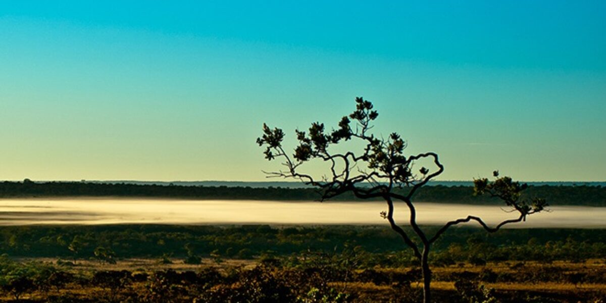 UEG abre edital para mestrado e doutorado em Recursos Naturais do Cerrado