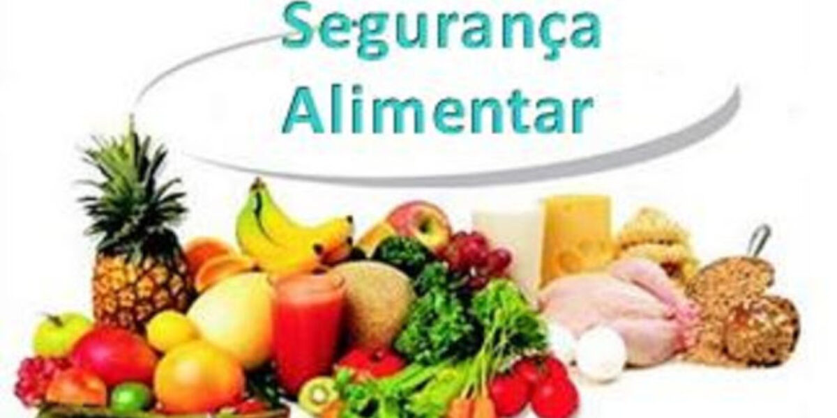 CGEE lança plataforma de dados científicos sobre agricultura e segurança alimentar