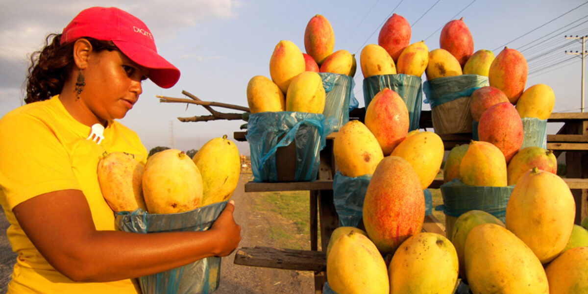 Edital vai destinar R$ 10 milhões a projetos de agroecologia e produção de alimentos