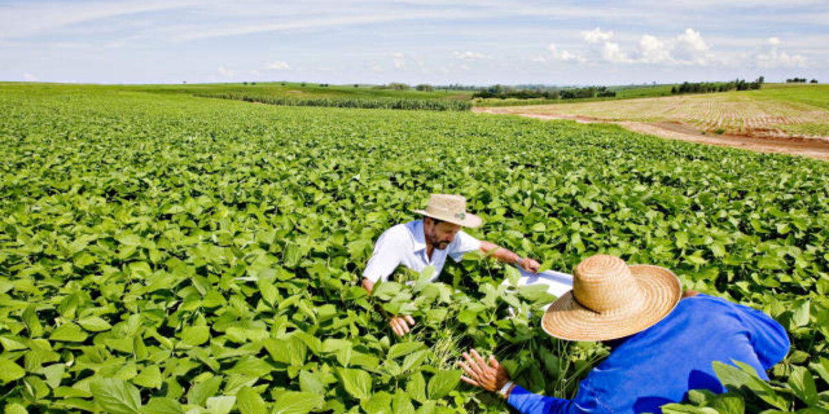 Edital para projetos de agroecologia e produção orgânica de alimentos soma R$ 10,7 milhões