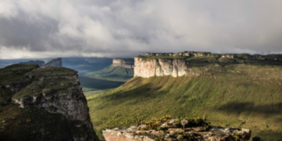 Com a participação do Brasil, projeto da Unesco vai “reconstruir” escala de tempo da Era Paleozoica