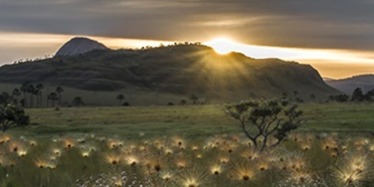 Aberto edital do Mestrado Territórios e Expressões Culturais no Cerrado da UEG