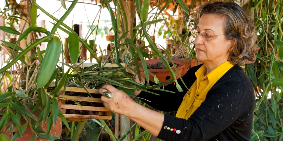 Pesquisadora da Emater colabora com livro do Ministério do Meio Ambiente