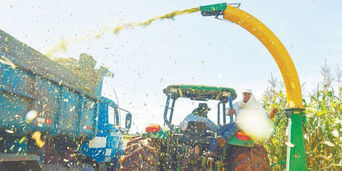 Pesquisas da UFG apontam que há pouco de brasileiro no agronegócio feito no Brasil