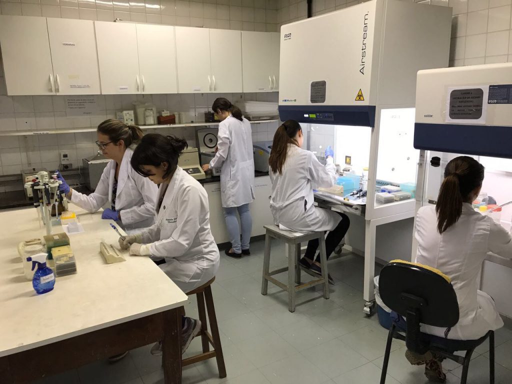 laboratório pesquisa citomegalovírus