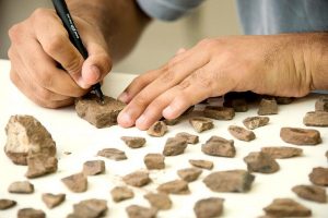 Curso de Arqueologia da PUC Goiás recebe nota máxima do MEC