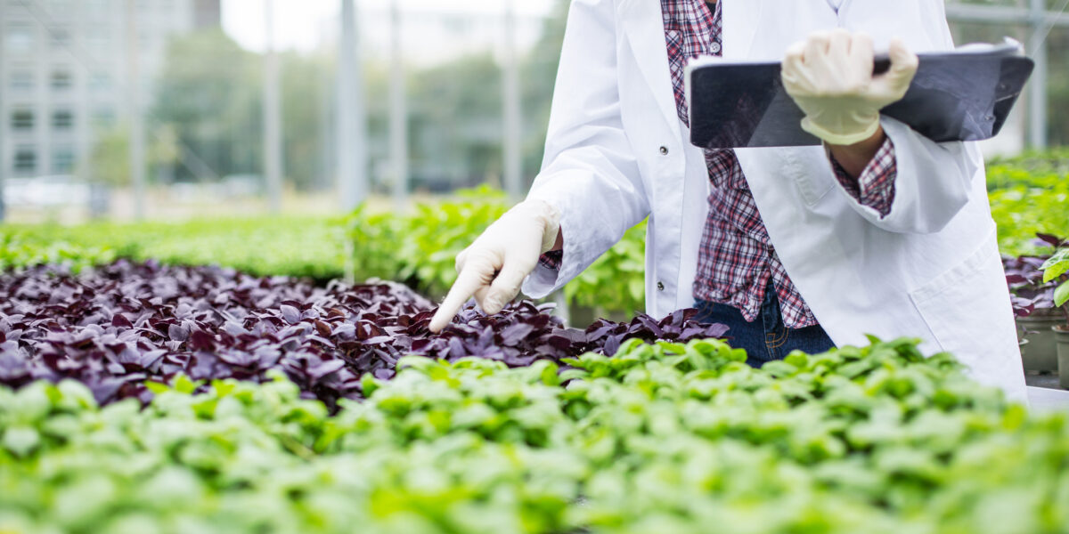 Rede Centro-Oeste de pós-graduação oferece doutorado em Biotecnologia e Biodiversidade