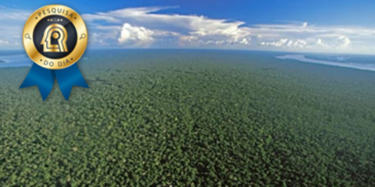 Estudo revela que poluição de Manaus inibe a fotossíntese e reduz as chuvas