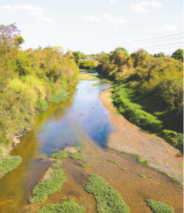 Rio Meia Ponte durante a seca