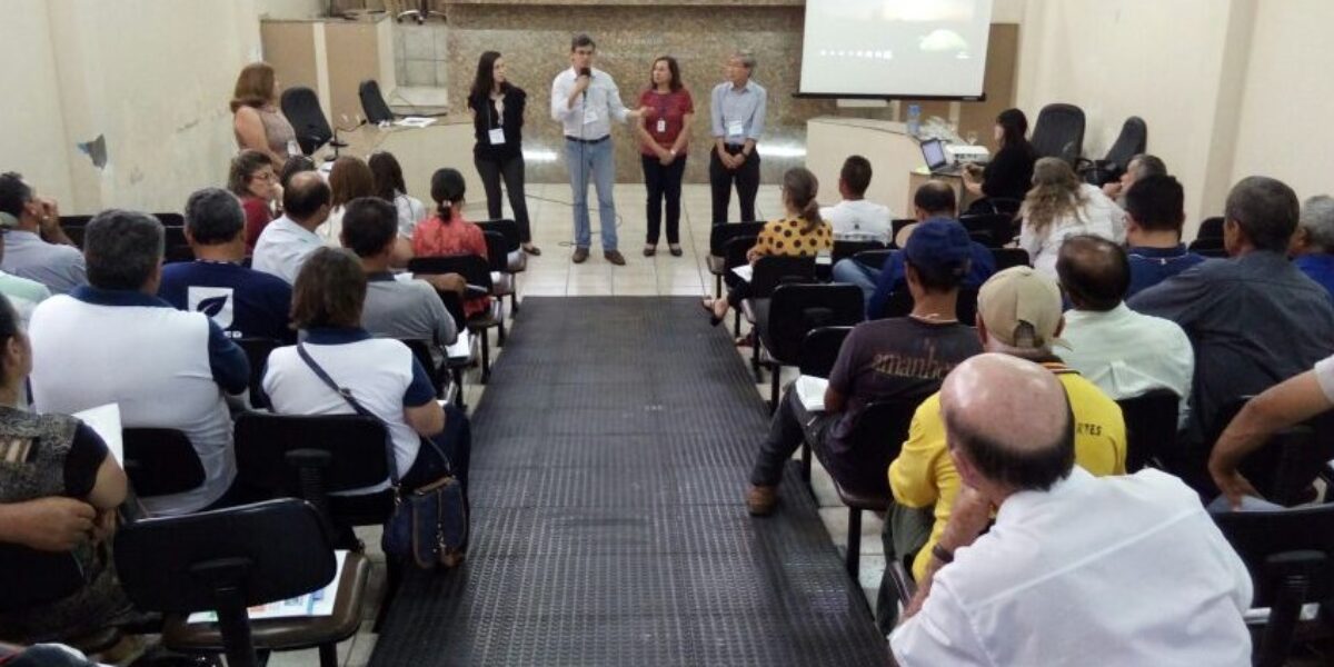 Produtores discutem cadeia produtiva do açafrão durante Workshop em Mara Rosa