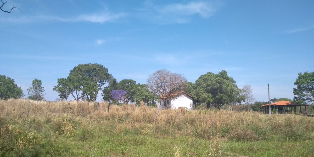 Câmpus Posse tem nova área agrícola destinada ao estudo de Ciências Agrárias