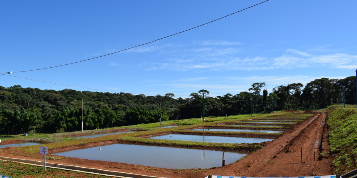 Emater revitaliza Estação Experimental de Piscicultura de Anápolis com apoio da Fapeg