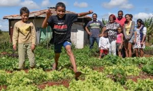 Finep Startup investe em plataforma que conecta agricultores familiares a compradores de alimentos