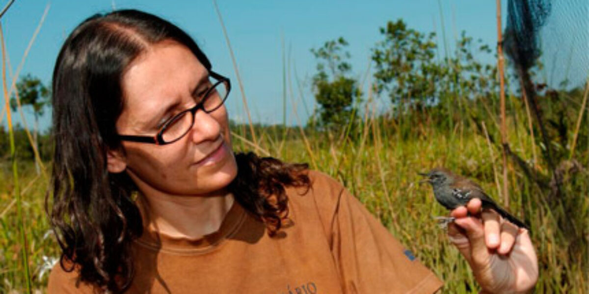 Edital da Fundação Grupo Boticário seleciona projetos de conservação da natureza em todo País