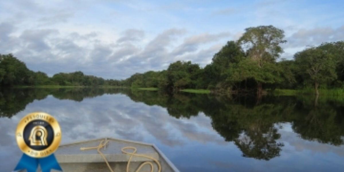 Amazônia “real” é maior do que a oficial, mapeada pelo IBGE