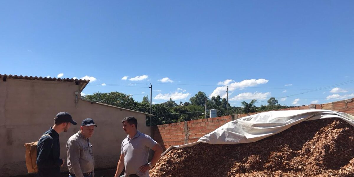 Pesquisadores auxiliam pequenos agricultores de Goiás na produção e manejo agrícola sustentável