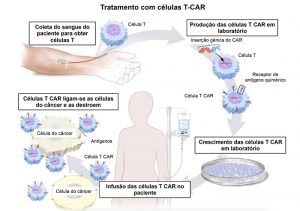 Fapesp tratamento contra o câncer