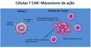 tratamento inovador contra o câncer