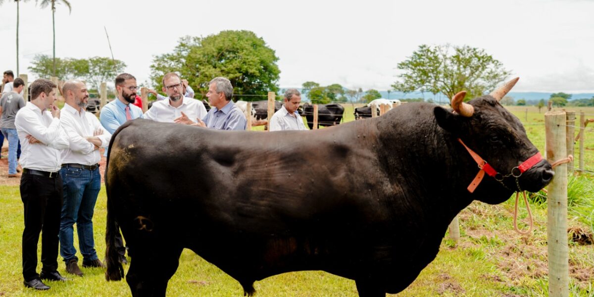 Fapeg participa do lançamento do Programa de Melhoramento Genético de Bovinos Leiteiros