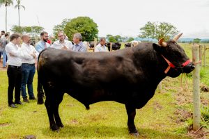 visita fazenda escola