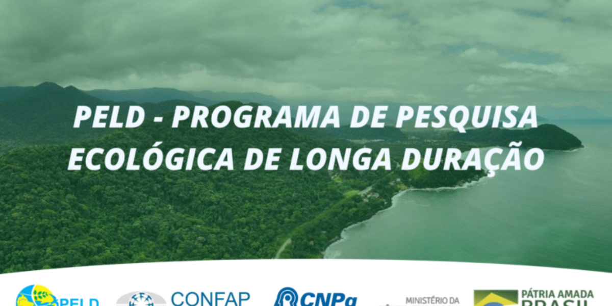 Confap, CNPq e MCTI lançam Chamada do Programa de Pesquisa Ecológica de Longa Duração – PELD