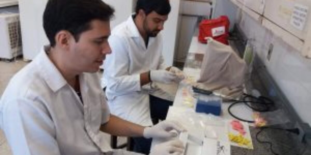 Projeto de biotecnologia para controle do carrapato recebe R$ 143 mil do Governo de Goiás