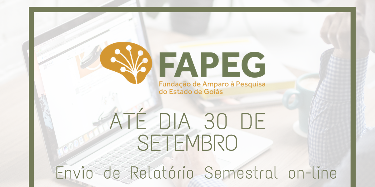 Relatório Semestral on-Line deve ser enviado até dia 30 de setembro