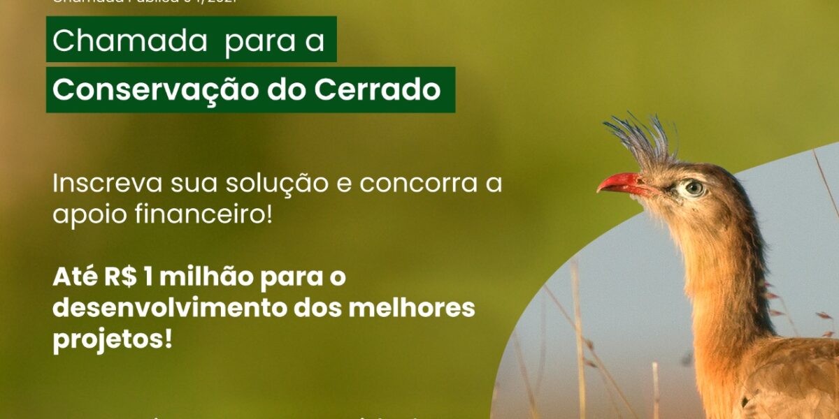 Inscrições até 12/11: Chamada destina R$ 1 milhão a soluções para desafios do Cerrado no Nordeste Goiano