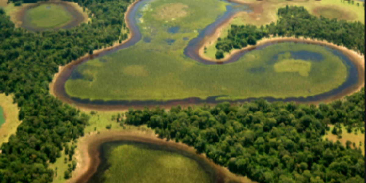 MCTI e Finep lançam prêmio SiBBr de Biodiversidade com R$ 50 mil em premiações