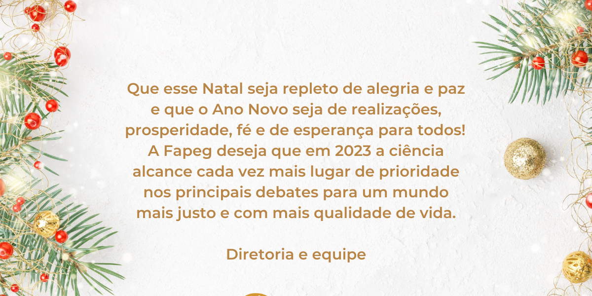 Feliz Natal e um Ano Novo cheio de paz e realizações!