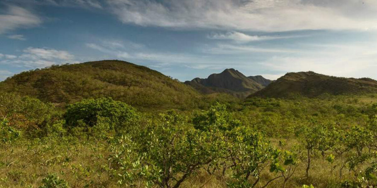 Fapeg divulga resultado final do edital para Conservação da Biodiversidade – Legado Verdes do Cerrado