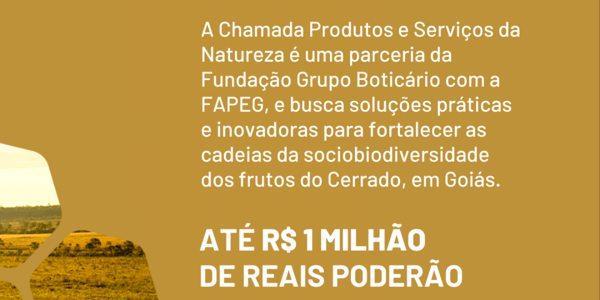 Inscrições abertas para chamada que busca soluções para fortalecer cadeias da sociobiodiversidade no Cerrado de Goiás