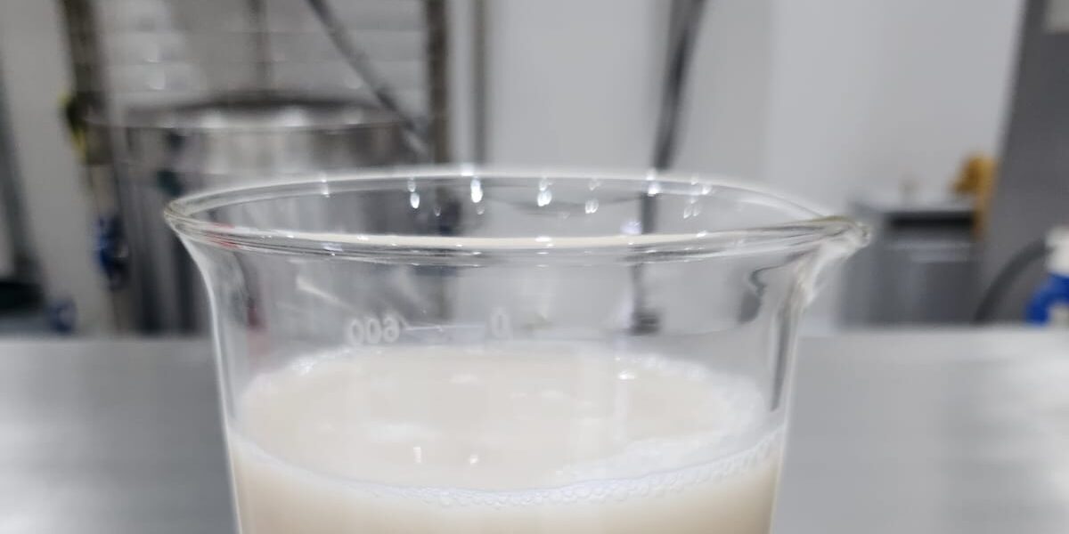 Projeto fomentado pela Fapeg vai desenvolver leite em pó a partir do gergelim