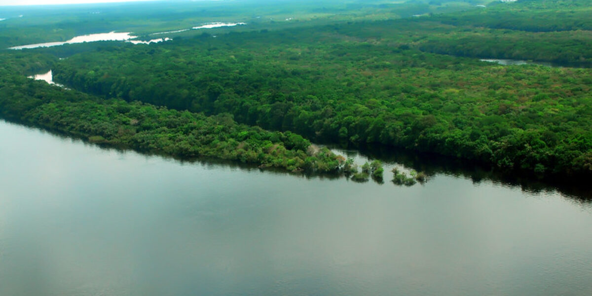 Iniciativa Amazônia+10 e BID anunciam parceria para apoiar ações de inovação na Amazônia