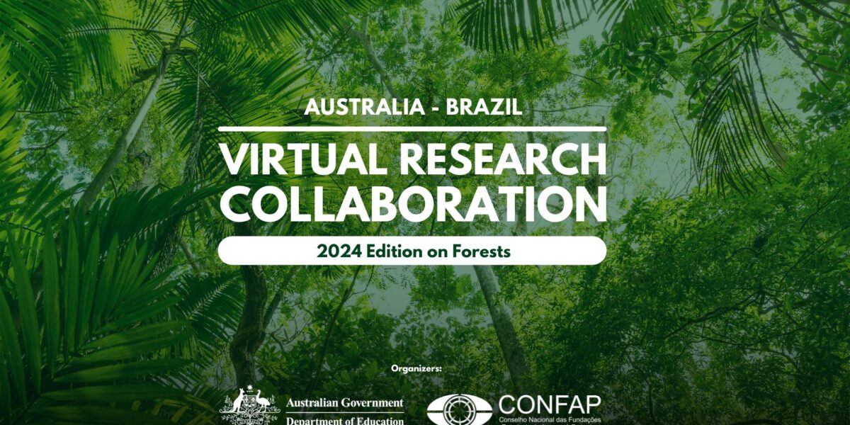 Colaboração Virtual de Pesquisa Austrália-Brasil discute sobre preservação das florestas