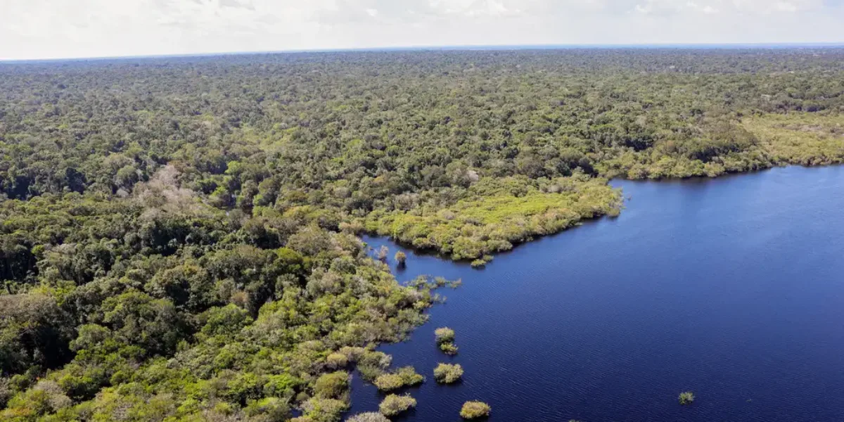 Fapeg tem pesquisadores no resultado preliminar da chamada Expedições Científicas da Iniciativa Amazônia+10