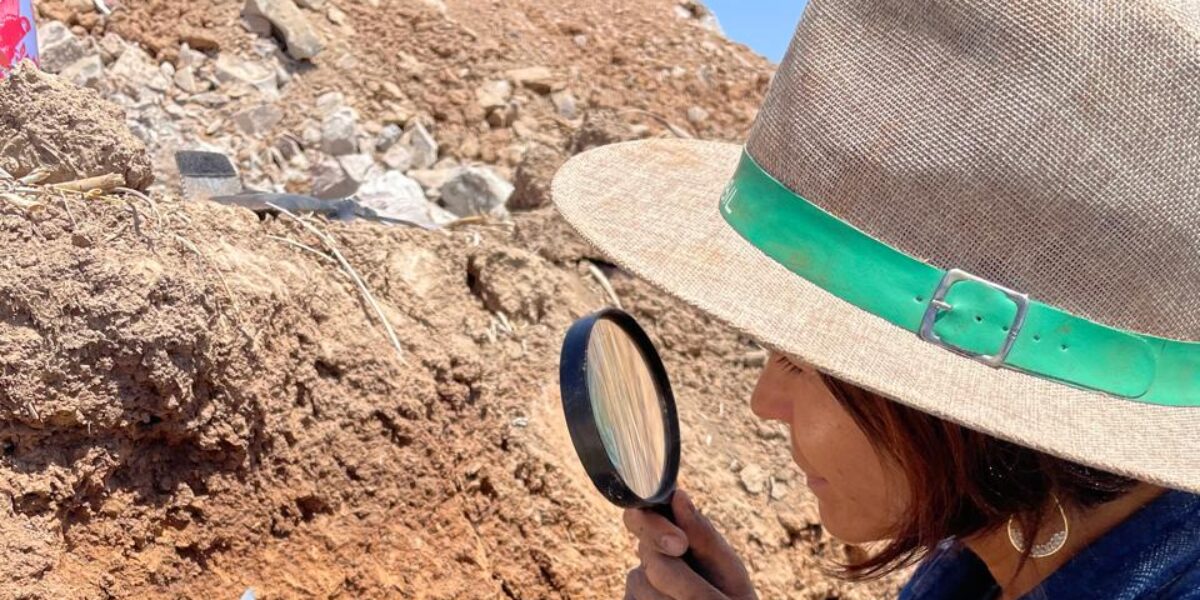 Goiás terá primeiro Centro de Excelência em Saúde Única do Brasil