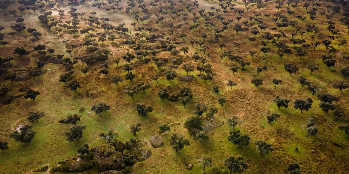 Prorrogado o prazo de inscrições para o edital de inovação no Nordeste Goiano