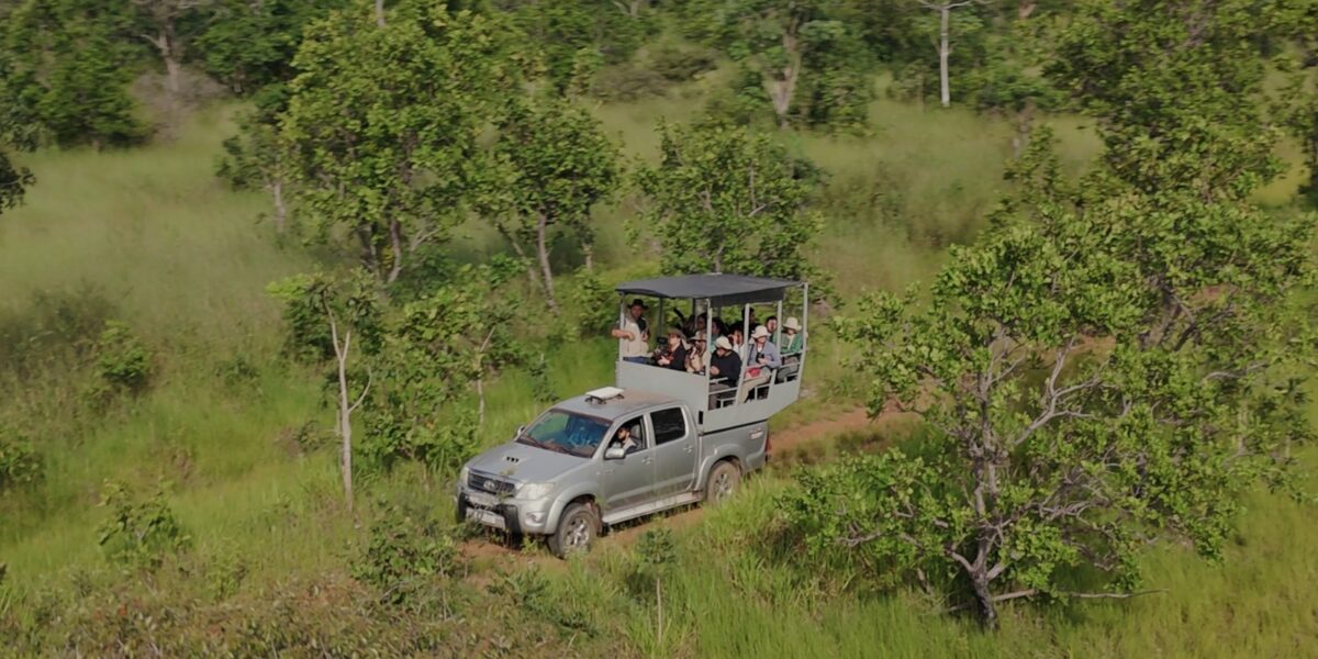 Audiovisual, ciência e imersão: projetos levam o Cerrado e o Araguaia ao FICA 2026