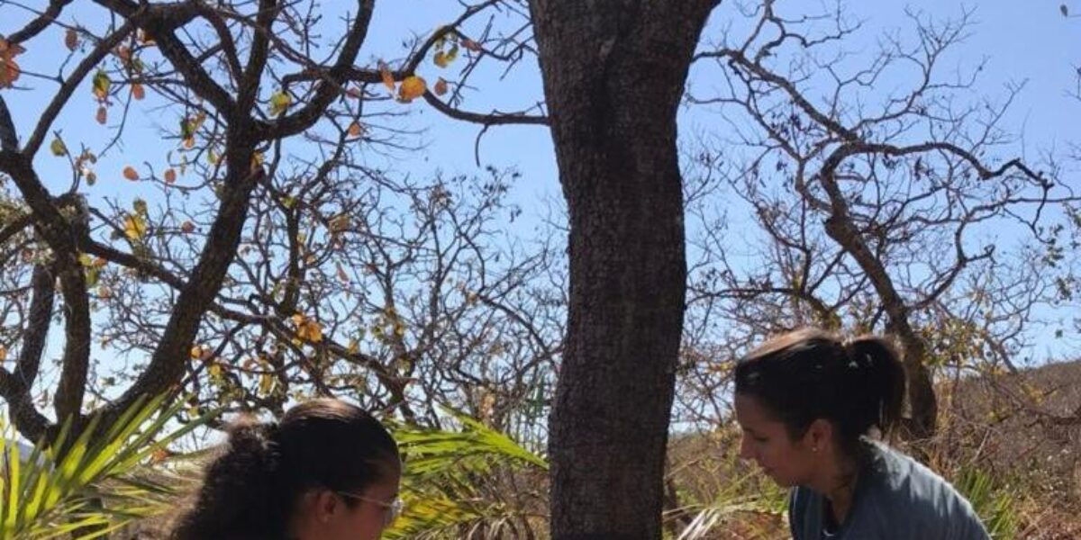 Prazo para inscrição no edital de Conservação da Biodiversidade Legado Verdes do Cerrado termina no próximo dia 23
