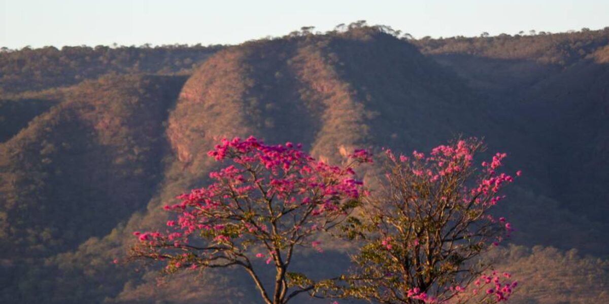 Audiências públicas abrem debate sobre projeto de concessão do Parque Estadual da Serra de Caldas Novas