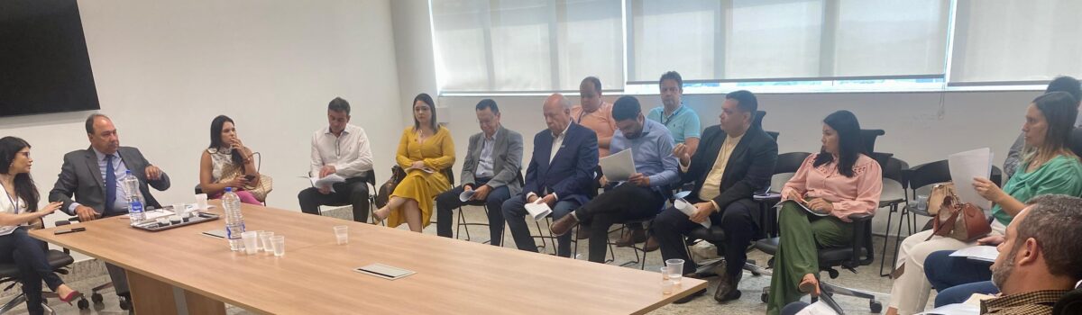 Governo de Goiás participa de retomada de atividades do Fórum Energético
