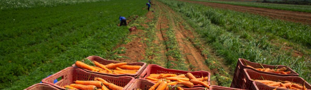 Economia de Goiás cresce acima da média nacional